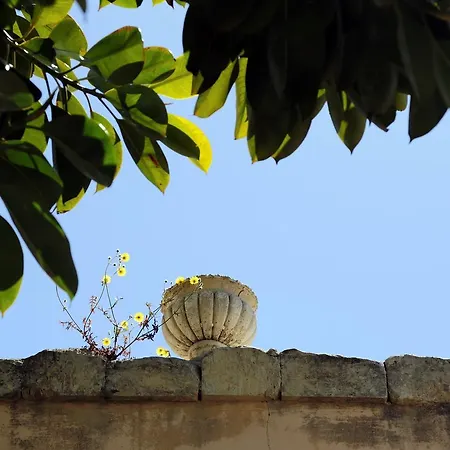 Vacanze Il Sultano